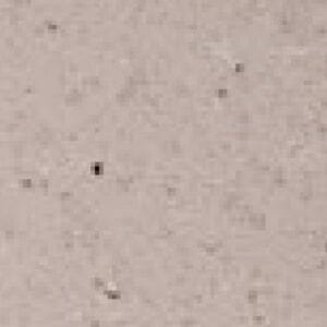 TDB 15677